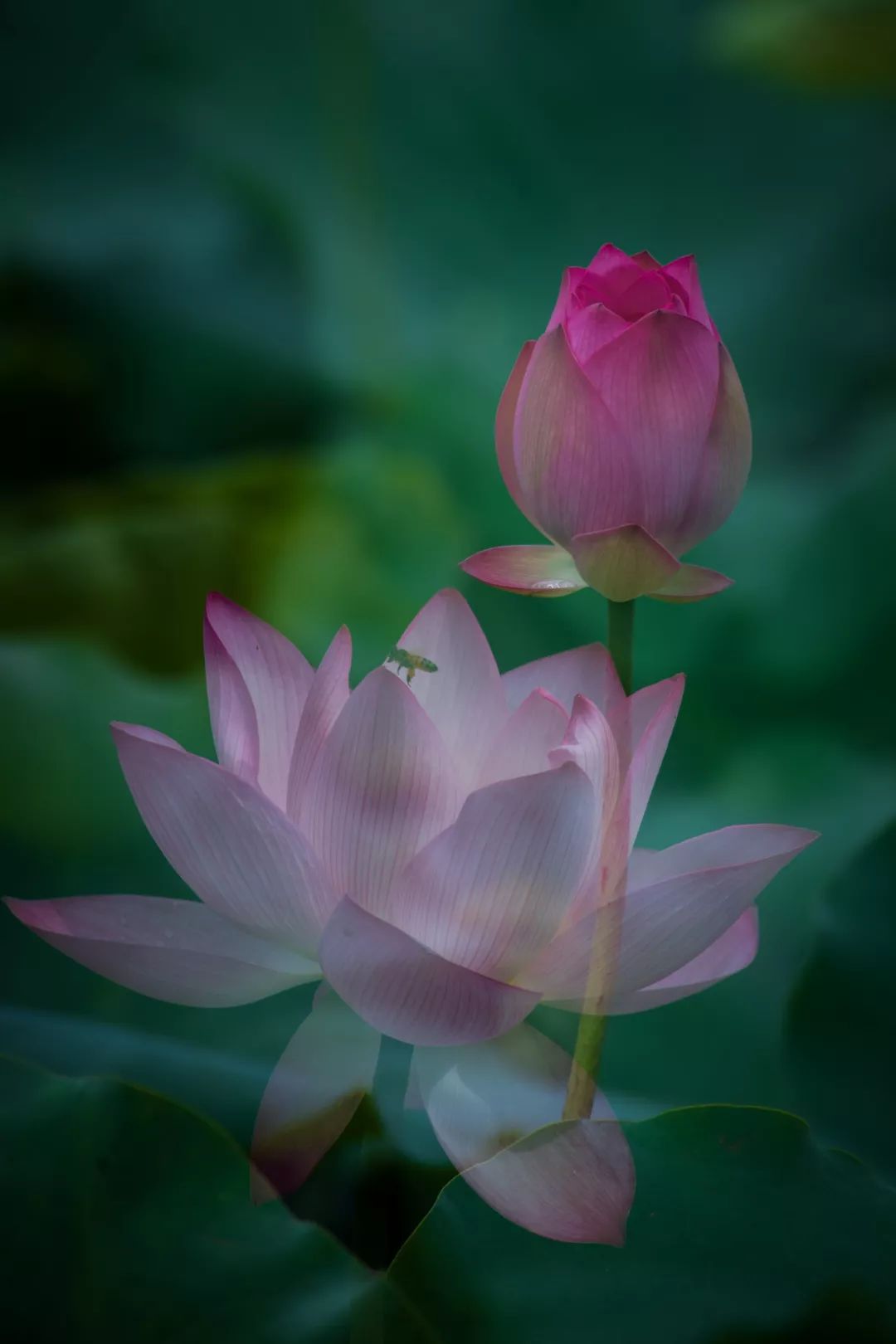 images/6/2019/01/n7JSJlggnz787jiPbCCGPah7IJIst7.jpeg
