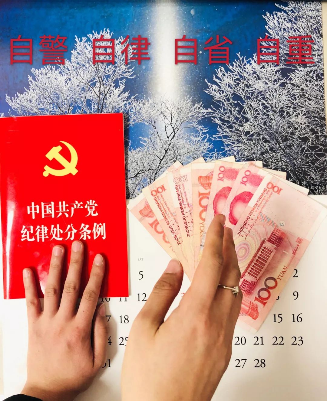 images/6/2019/01/vPpPc62zBWkXb2NNk2WbBK7NBZBzkr.jpeg